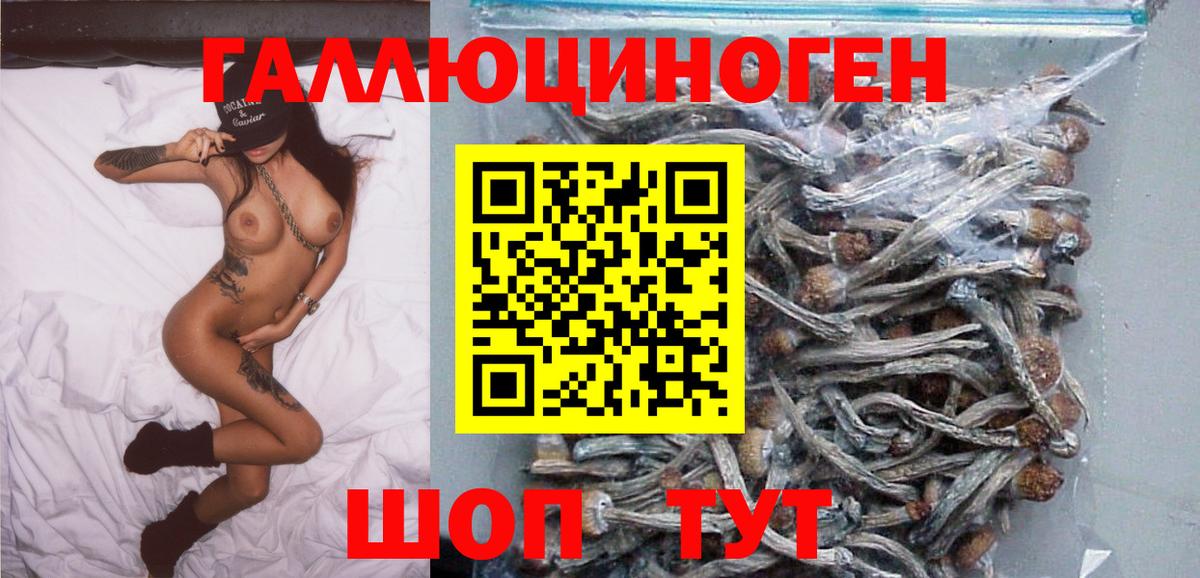 Псилоцибиновые грибы мицелий  Вход с VPN  Псилоцибиновые грибы Psilocybe  Орехово-Зуево 